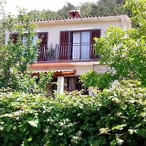 Vista Apartment Lupoglav (Istria)